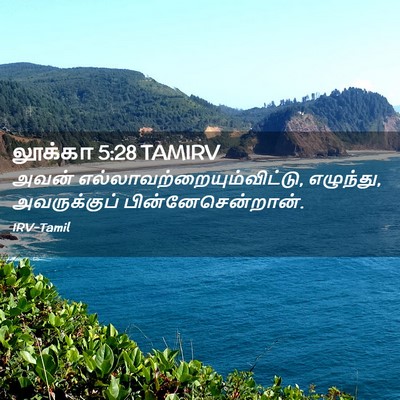 Picture 02 - லூக்கா 5:28 TAMIRV - அவன் - Bible Verse Picture