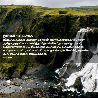 Picture 02 - லூக்கா 5:33 TAMIRV - பின்பு அவர்கள் - Bible Verse Picture