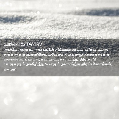 Picture 02 - லூக்கா 5:7 TAMIRV - அப்பொழுது மற்றப் - Bible Verse Picture