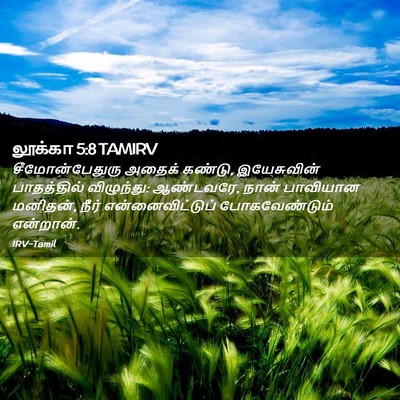 Picture 02 - லூக்கா 5:8 TAMIRV - சீமோன்பேதுரு - Bible Verse Picture