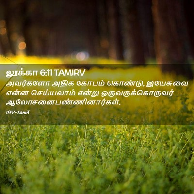 Picture 02 - லூக்கா 6:11 TAMIRV - அவர்களோ அதிக - Bible Verse Picture