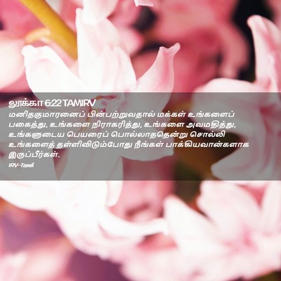 Picture 02 - லூக்கா 6:22 TAMIRV - மனிதகுமாரனைப் - Bible Verse Picture