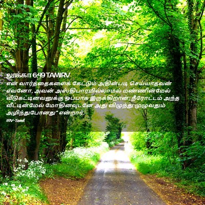 Picture 02 - லூக்கா 6:49 TAMIRV - என் வார்த்தைகளைக் - Bible Verse Picture
