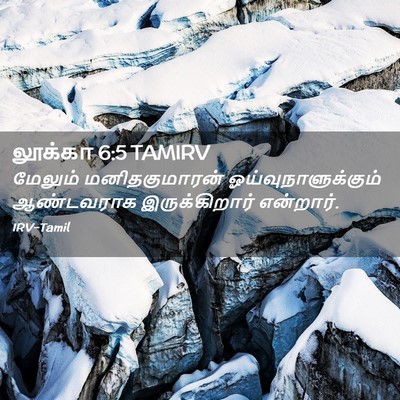 Picture 02 - லூக்கா 6:5 TAMIRV - மேலும் - Bible Verse Picture