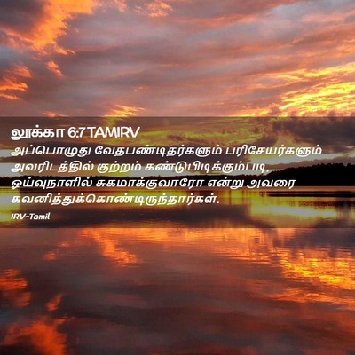 Picture 02 - லூக்கா 6:7 TAMIRV - அப்பொழுது - Bible Verse Picture