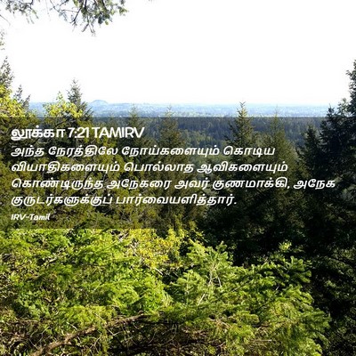 Picture 02 - லூக்கா 7:21 TAMIRV - அந்த நேரத்திலே - Bible Verse Picture