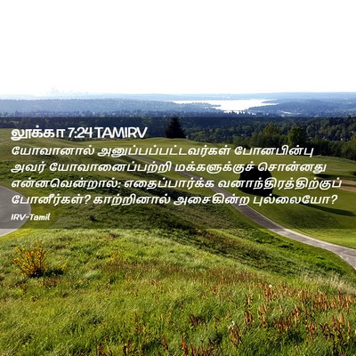 Picture 02 - லூக்கா 7:24 TAMIRV - யோவானால் - Bible Verse Picture
