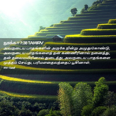 Picture 02 - லூக்கா 7:38 TAMIRV - அவருடைய - Bible Verse Picture