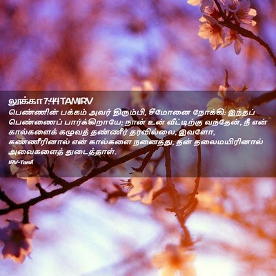 Picture 02 - லூக்கா 7:44 TAMIRV - பெண்ணின் பக்கம் - Bible Verse Picture