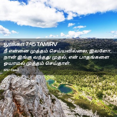 Picture 02 - லூக்கா 7:45 TAMIRV - நீ என்னை முத்தம் - Bible Verse Picture