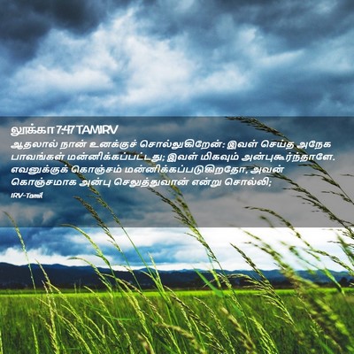 Picture 02 - லூக்கா 7:47 TAMIRV - ஆதலால் நான் - Bible Verse Picture