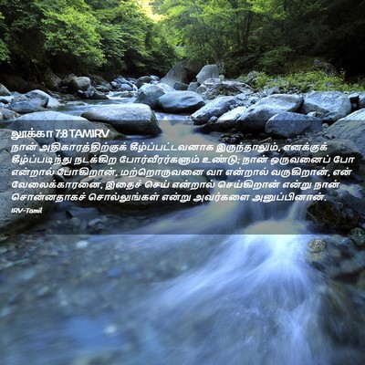 Picture 02 - லூக்கா 7:8 TAMIRV - நான் - Bible Verse Picture