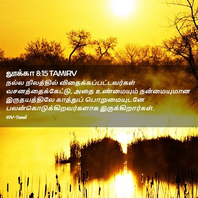 Picture 02 - லூக்கா 8:15 TAMIRV - நல்ல நிலத்தில் - Bible Verse Picture