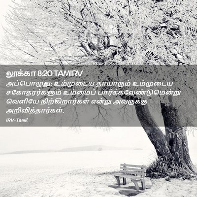 Picture 02 - லூக்கா 8:20 TAMIRV - அப்பொழுது: - Bible Verse Picture