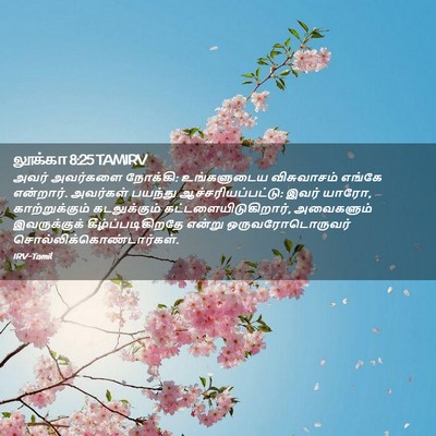 Picture 02 - லூக்கா 8:25 TAMIRV - அவர் அவர்களை - Bible Verse Picture