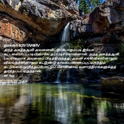 Picture 02 - லூக்கா 8:29 TAMIRV - அந்த அசுத்தஆவி - Bible Verse Picture
