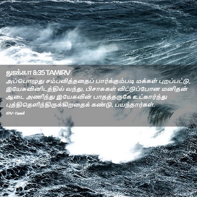 Picture 02 - லூக்கா 8:35 TAMIRV - அப்பொழுது - Bible Verse Picture