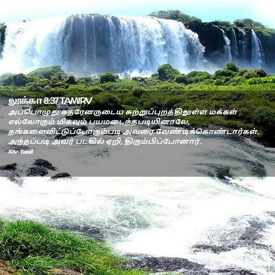 Picture 02 - லூக்கா 8:37 TAMIRV - அப்பொழுது - Bible Verse Picture