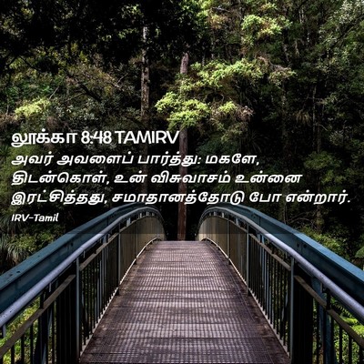 Picture 02 - லூக்கா 8:48 TAMIRV - அவர் அவளைப் - Bible Verse Picture
