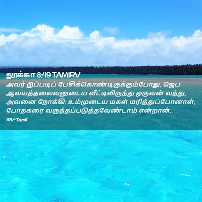 Picture 02 - லூக்கா 8:49 TAMIRV - அவர் இப்படிப் - Bible Verse Picture