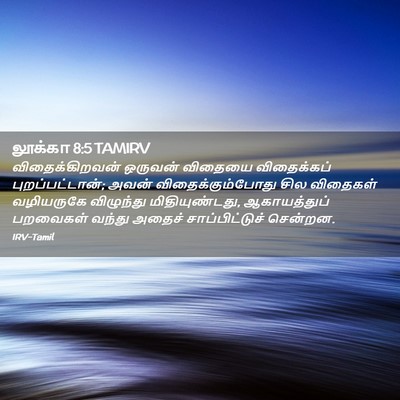 Picture 02 - லூக்கா 8:5 TAMIRV - விதைக்கிறவன் - Bible Verse Picture