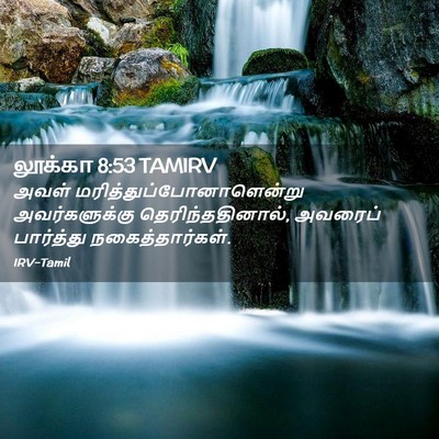 Picture 02 - லூக்கா 8:53 TAMIRV - அவள் - Bible Verse Picture