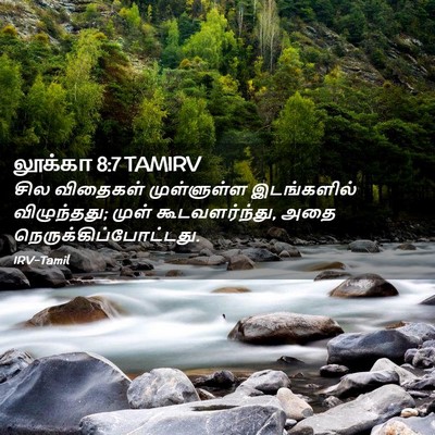 Picture 02 - லூக்கா 8:7 TAMIRV - சில விதைகள் - Bible Verse Picture
