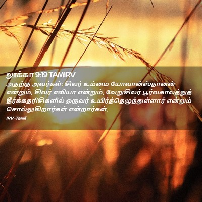 Picture 02 - லூக்கா 9:19 TAMIRV - அதற்கு அவர்கள்: - Bible Verse Picture