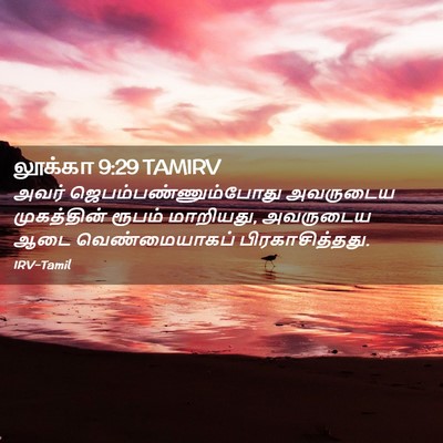 Picture 02 - லூக்கா 9:29 TAMIRV - அவர் - Bible Verse Picture