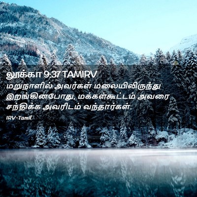 Picture 02 - லூக்கா 9:37 TAMIRV - மறுநாளில் அவர்கள் - Bible Verse Picture
