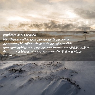 Picture 02 - லூக்கா 9:39 TAMIRV - சில நேரங்களில், - Bible Verse Picture