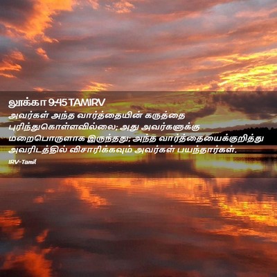 Picture 02 - லூக்கா 9:45 TAMIRV - அவர்கள் அந்த - Bible Verse Picture