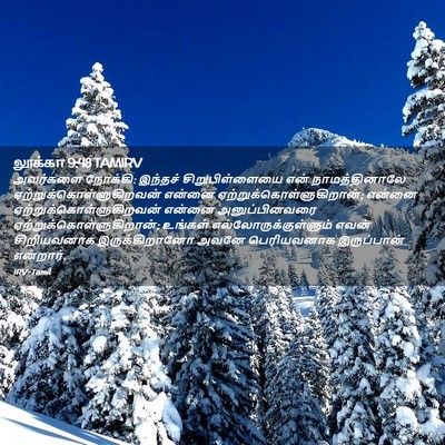 Picture 02 - லூக்கா 9:48 TAMIRV - அவர்களை நோக்கி: - Bible Verse Picture