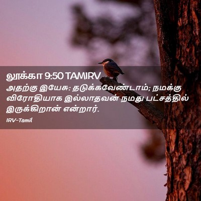 Picture 02 - லூக்கா 9:50 TAMIRV - அதற்கு இயேசு: - Bible Verse Picture
