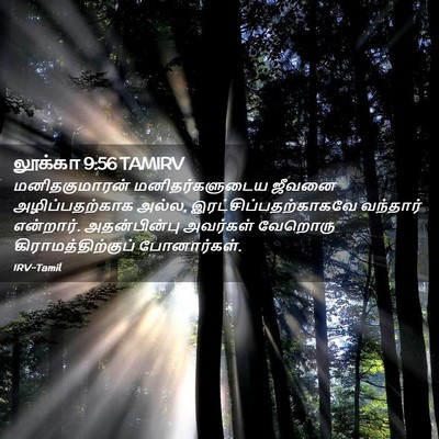 Picture 02 - லூக்கா 9:56 TAMIRV - மனிதகுமாரன் - Bible Verse Picture