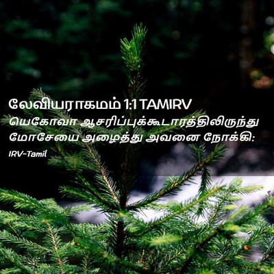 Picture 02 - லேவியராகமம் 1:1 TAMIRV - யெகோவா - Bible Verse Picture