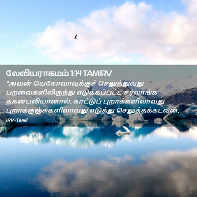 Picture 02 - லேவியராகமம் 1:14 TAMIRV - “அவன் - Bible Verse Picture
