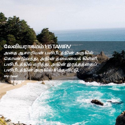 Picture 02 - லேவியராகமம் 1:15 TAMIRV - அதை ஆசாரியன் - Bible Verse Picture