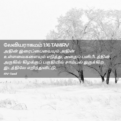 Picture 02 - லேவியராகமம் 1:16 TAMIRV - அதின் - Bible Verse Picture
