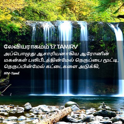 Picture 02 - லேவியராகமம் 1:7 TAMIRV - அப்பொழுது - Bible Verse Picture