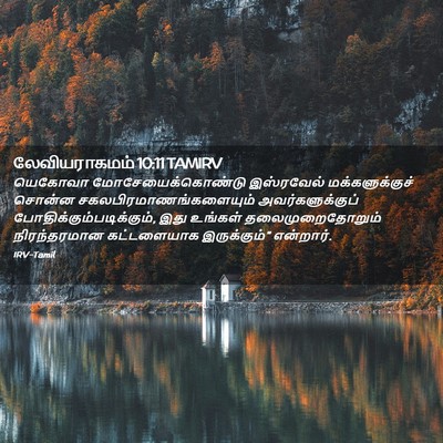 Picture 02 - லேவியராகமம் 10:11 TAMIRV - யெகோவா - Bible Verse Picture