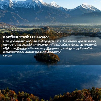 Picture 02 - லேவியராகமம் 10:16 TAMIRV -  - Bible Verse Picture
