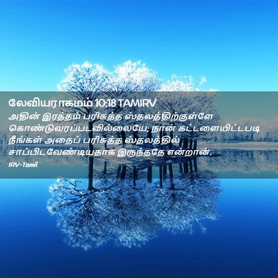 Picture 02 - லேவியராகமம் 10:18 TAMIRV - அதின் இரத்தம் - Bible Verse Picture