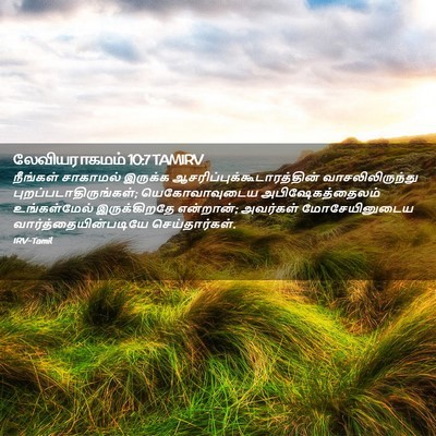 Picture 02 - லேவியராகமம் 10:7 TAMIRV - நீங்கள் சாகாமல் - Bible Verse Picture