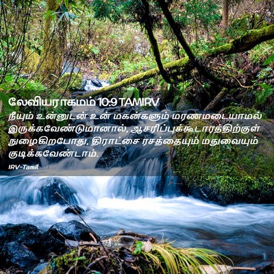 Picture 02 - லேவியராகமம் 10:9 TAMIRV - நீயும் உன்னுடன் - Bible Verse Picture