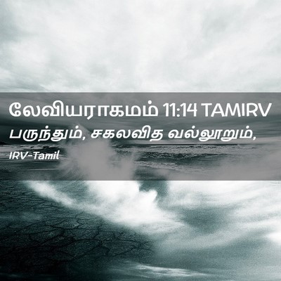 Picture 02 - லேவியராகமம் 11:14 TAMIRV - பருந்தும், சகலவித - Bible Verse Picture