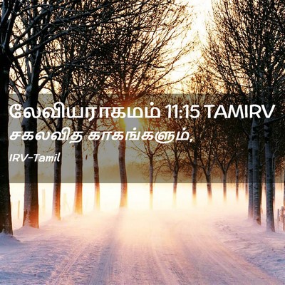Picture 02 - லேவியராகமம் 11:15 TAMIRV - சகலவித - Bible Verse Picture