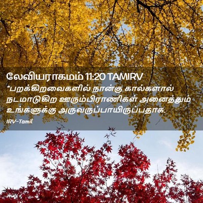 Picture 02 - லேவியராகமம் 11:20 TAMIRV - “பறக்கிறவைகளில் - Bible Verse Picture