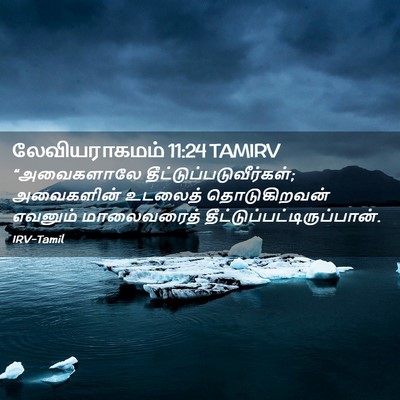 Picture 02 - லேவியராகமம் 11:24 TAMIRV - “அவைகளாலே - Bible Verse Picture