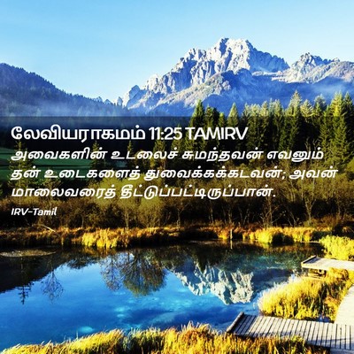 Picture 02 - லேவியராகமம் 11:25 TAMIRV - அவைகளின் உடலைச் - Bible Verse Picture